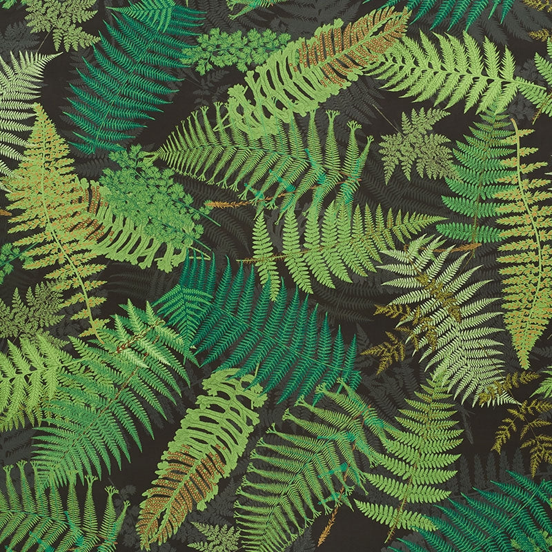 Purchase sample of 177591 FernariumGreen & Black by Schumacher Fabric