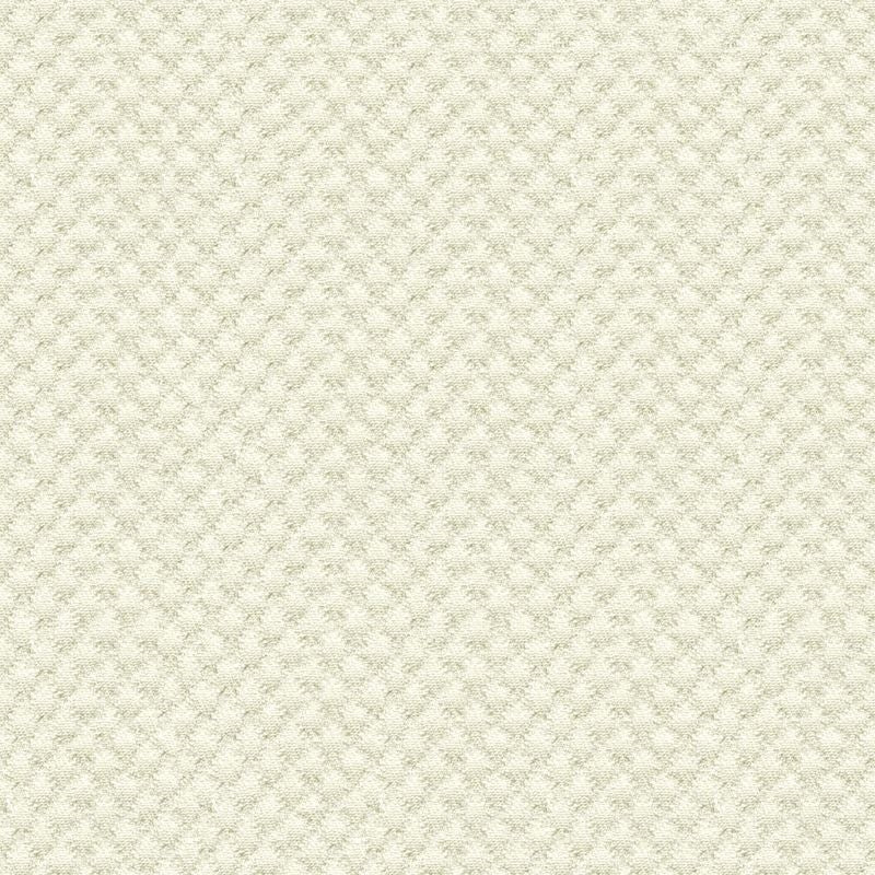 Acquire 25807.1.0  Solids/Plain Cloth White by Kravet Design Fabric