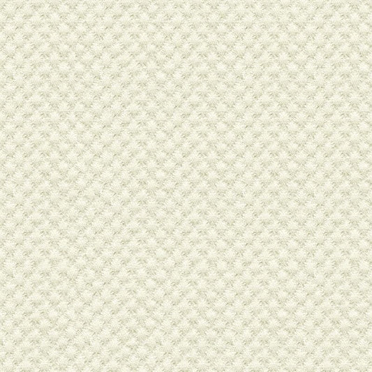 Acquire 25807.1.0  Solids/Plain Cloth White by Kravet Design Fabric