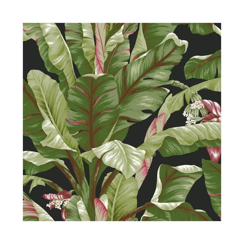 Sample AT7071 Ashford Tropics, Banana Leaf  color black leaf by Ashford House Wallpaper