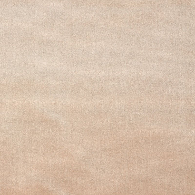 Purchase sample of 70445 Venetian Silk Velvet, Petal by Schumacher Fabric