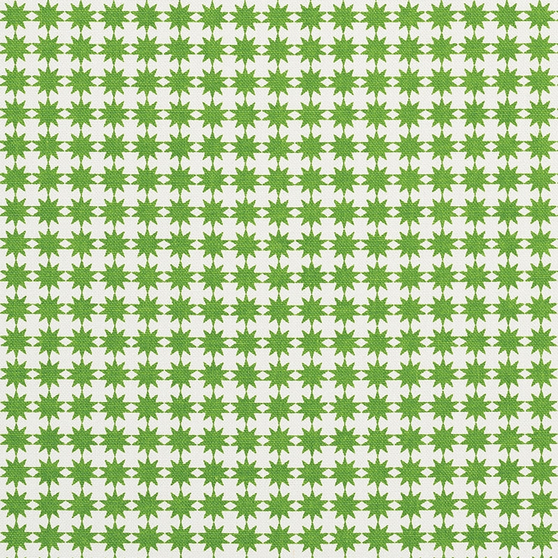 Purchase sample of 177082 Stella, Green by Schumacher Fabric