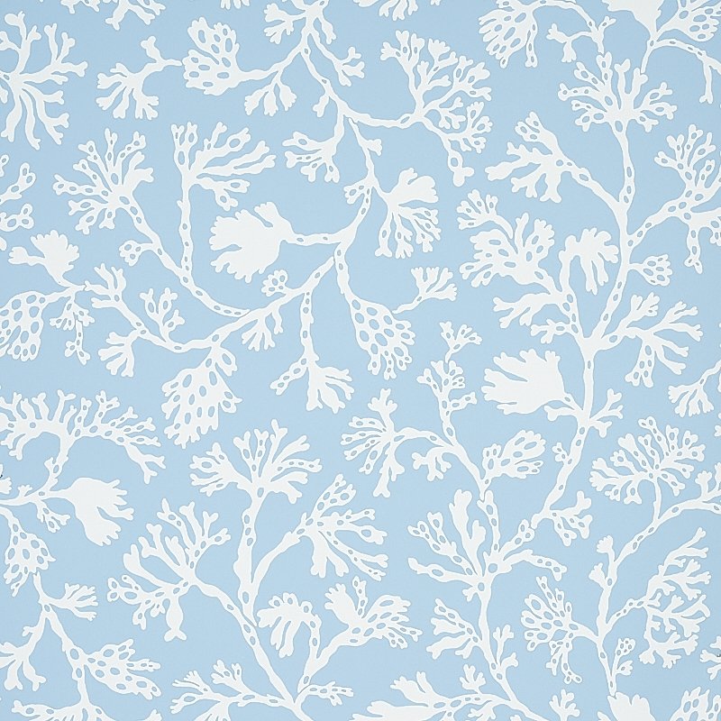 Purchase 5012130 Anthoza Sky Schumacher Wallcovering Wallpaper