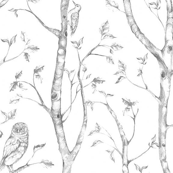 Search NU1412 Gray Woods Peel And Stick Wallpaper by NuWallpaper