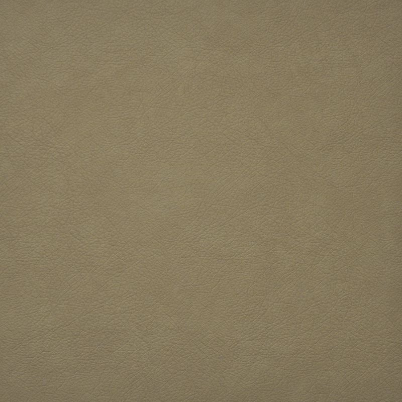 Sample HG6737 Hidalgo Latte by Maxwell