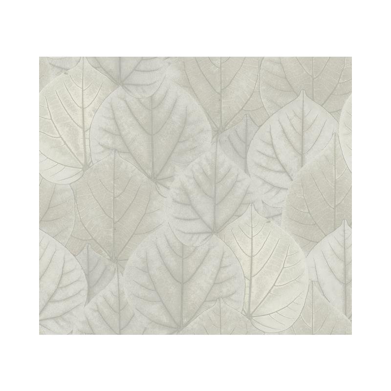 OS4246 Leaf Concerto