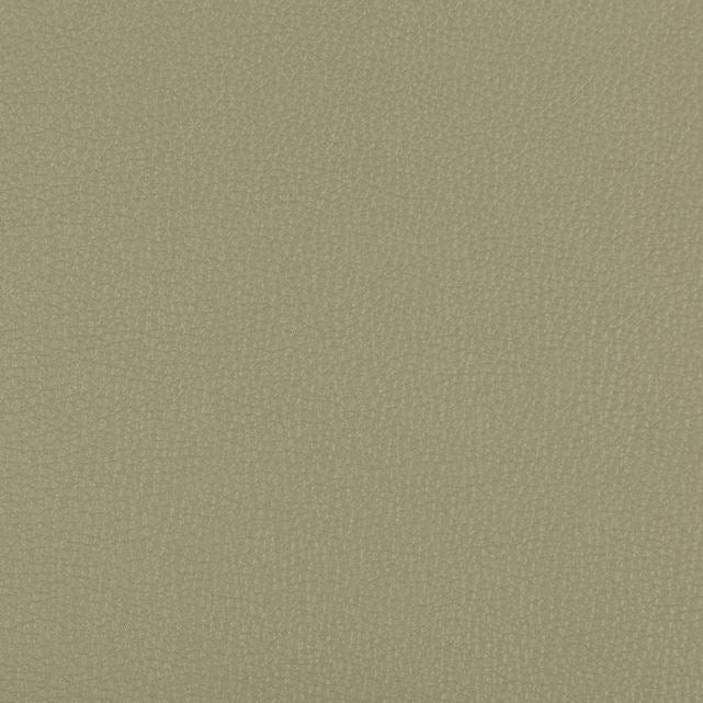 Find SYRUS.311.0 Syrus Sage Solids/Plain Cloth Olive Green by Kravet Contract Fabric