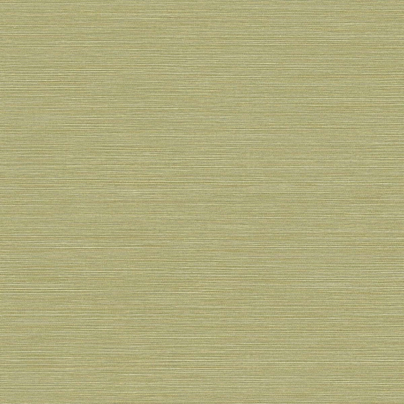 Sample BV30424 Texture Gallery, Coastal Hemp Lime Moss  Seabrook Wallpaper