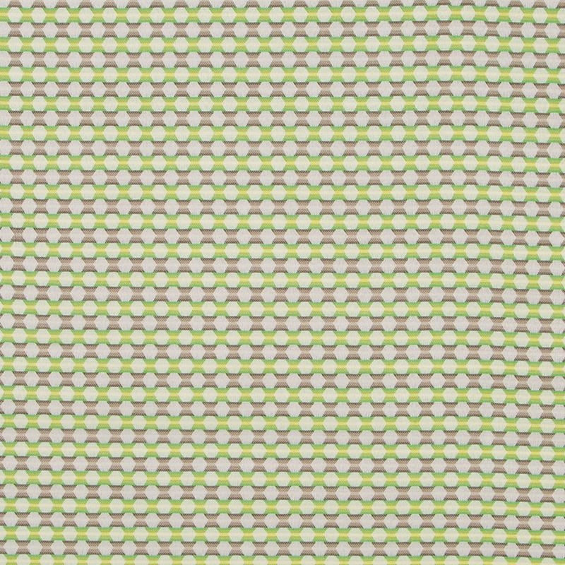 508477 | Petal Grid, Lime - Robert Allen