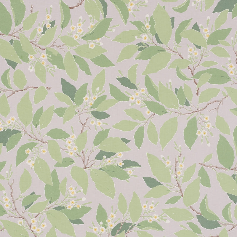 Search 176521 Dogwood Leaf Grisaille by Schumacher Fabric