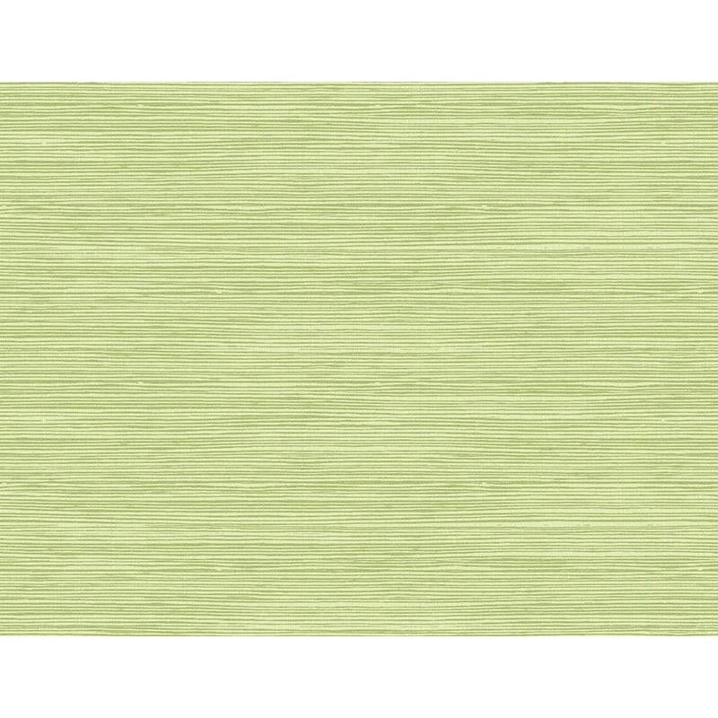 Sample TA21704 Tortuga, Green, Faux Effects by Seabrook Wallpaper