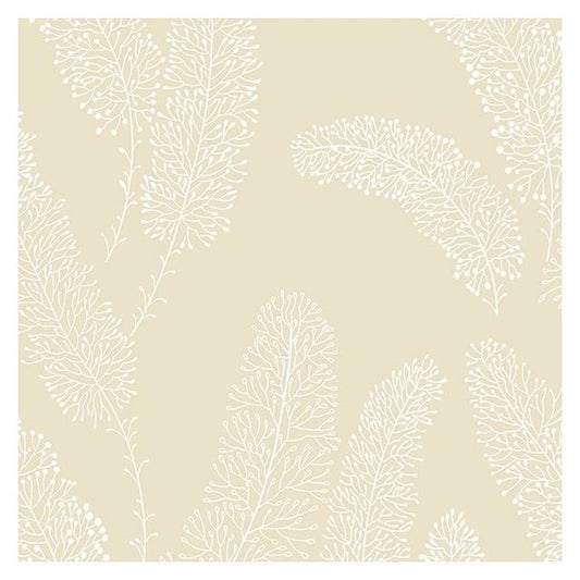 Purchase PA34253 Paradise Neutral Floral Wallpaper by Norwall Wallpaper
