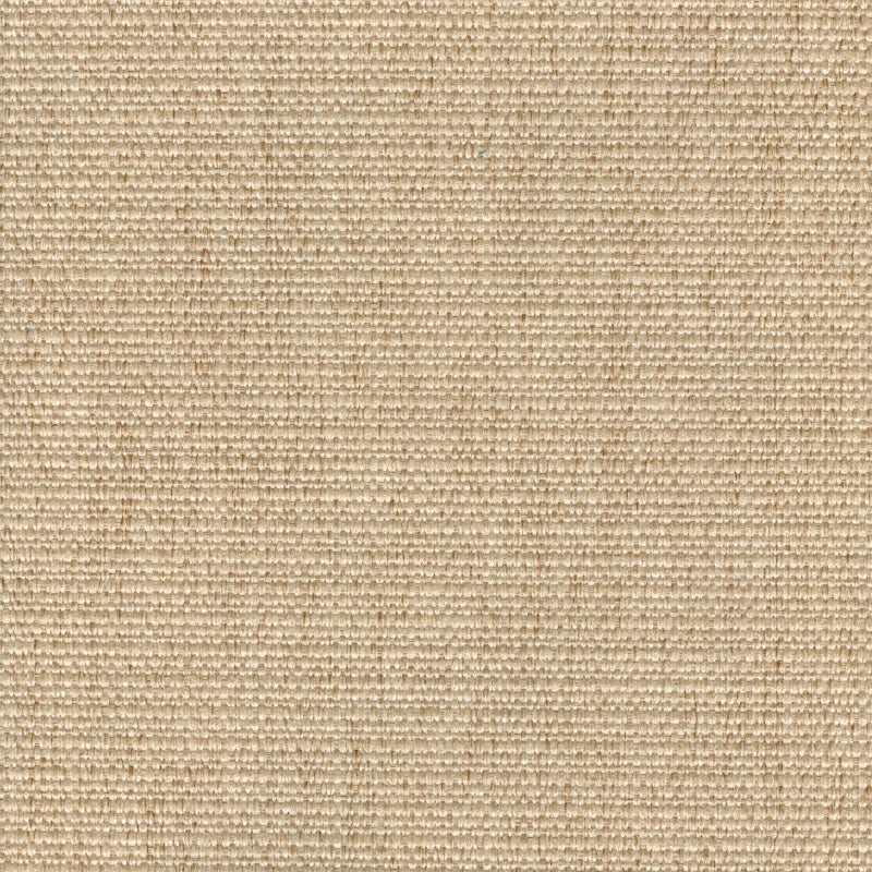 Sample 8051 Cachay Oatmeal Magnolia Fabric