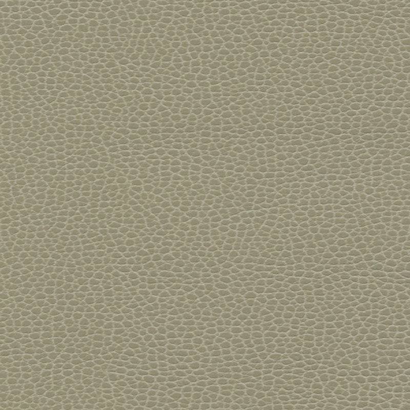 Purchase sample of 363-3463 Promessa, Taupe by Schumacher Fabric