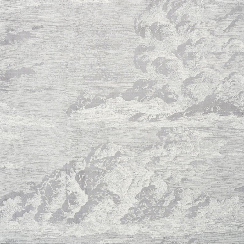 Purchase sample of 177002 Cloud Toile, Fog by Schumacher Fabric