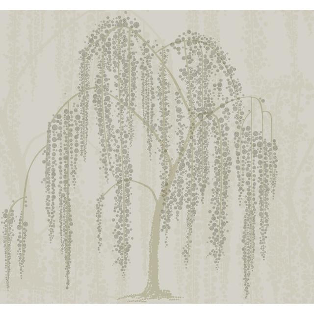 Purchase DT5064 Willow Glow After 8 by Candice Olson Wallpaper