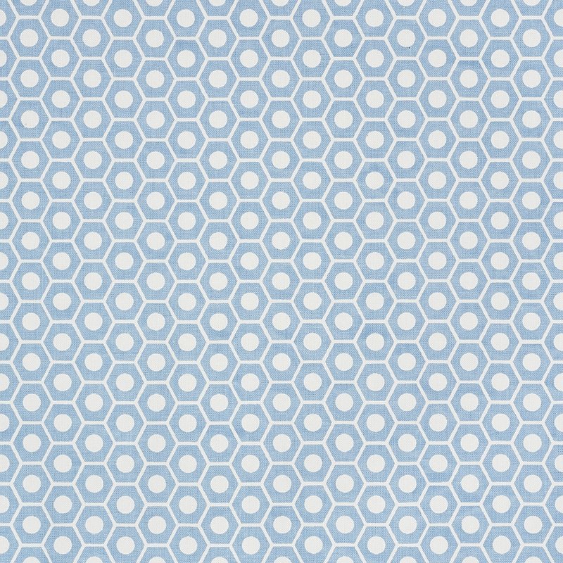 Purchase sample of 177071 Queen B, Chambray by Schumacher Fabric