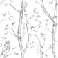 Find NUS1412 Grey Woods Nature Peel and Stick by Wallpaper