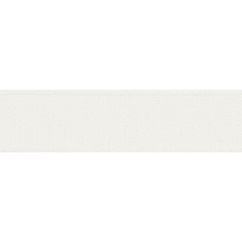 72410 | Ashwood Tape, White - Schumacher Fabric