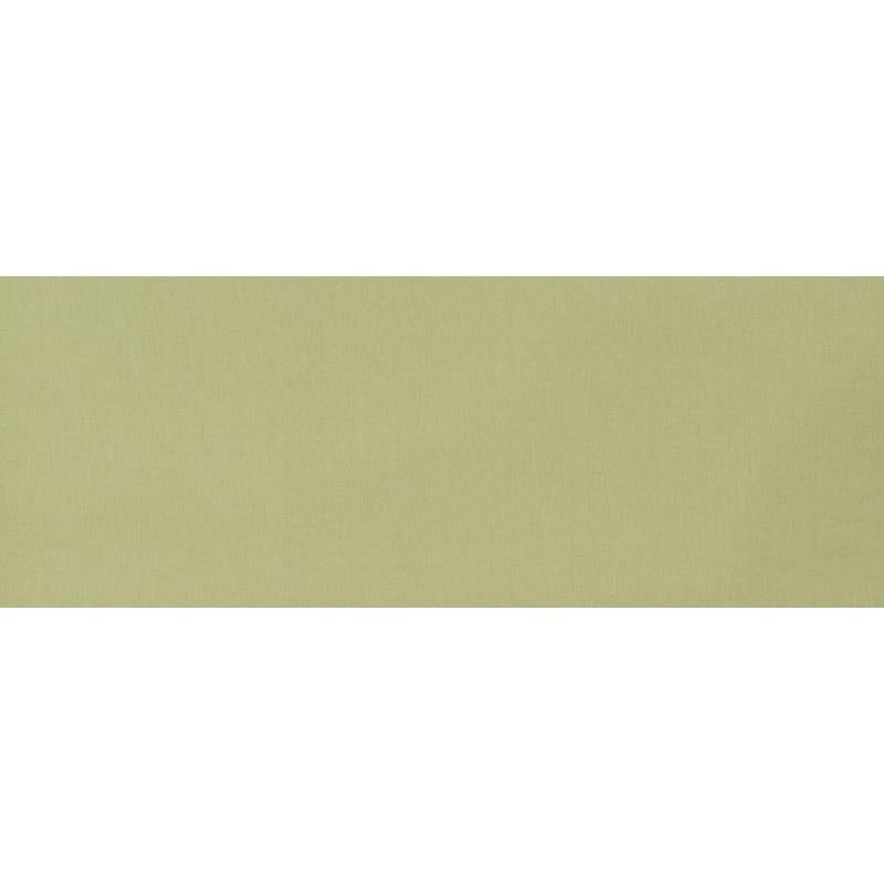512596 | Bosporus | Celery - Robert Allen Home Fabric