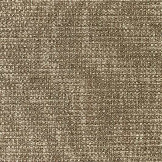 Shop F3084 Old Lace Solid Upholstery Greenhouse Fabric