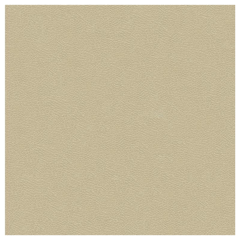 View GRANA.1116.0  Solids/Plain Cloth Beige by Kravet Design Fabric