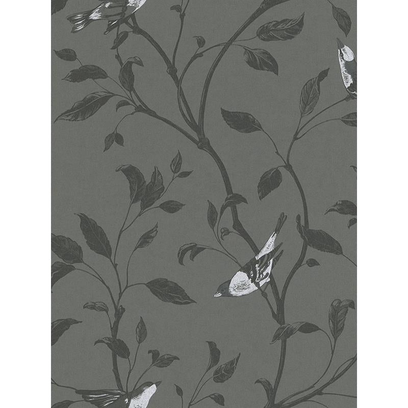Sample 798968 grey wallpaper Washington