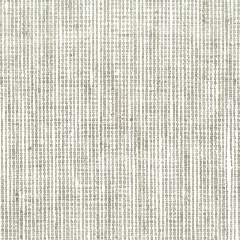Sample Remb-2 Rembrandt 2 Platinum By Stout Fabric