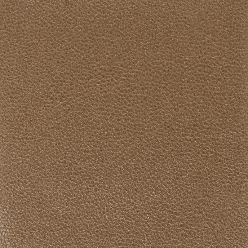 Sample Pitc-4 Pitcher 4 Bark By Stout Fabric