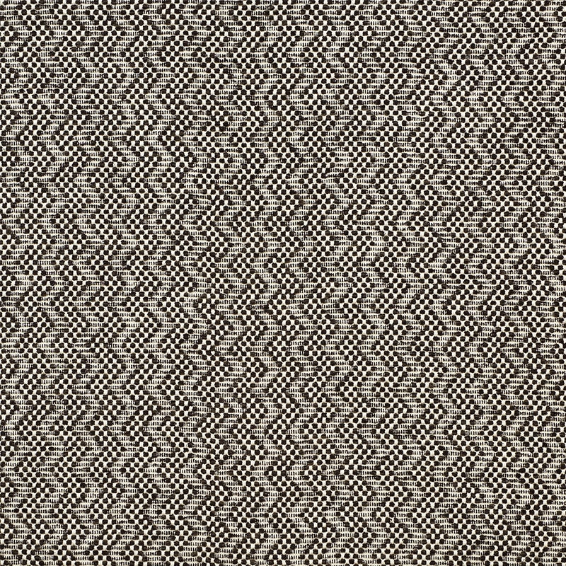 Purchase sample of 75492 Audley, Carbon by Schumacher Fabric
