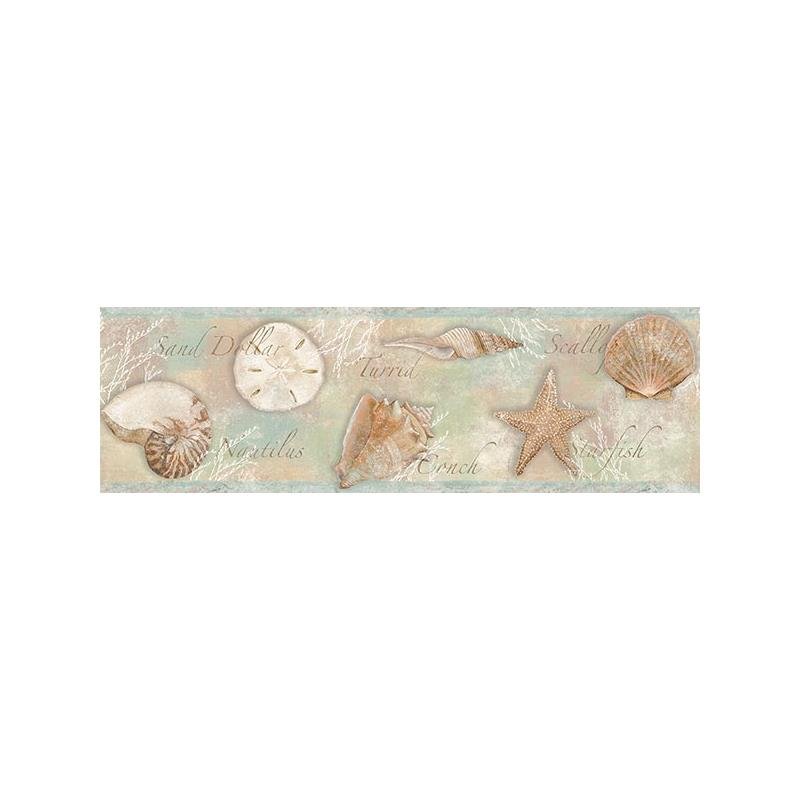 Sample 3120-46051B Sanibel, Quinten Brown Shells Border by Chesapeake Wallpaper