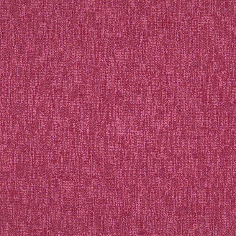 Sample SLJ521 Space Race Tulip by Maxwell