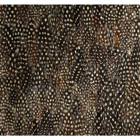 Purchase 5008390 Krypton Black Pearl Schumacher Wallpaper