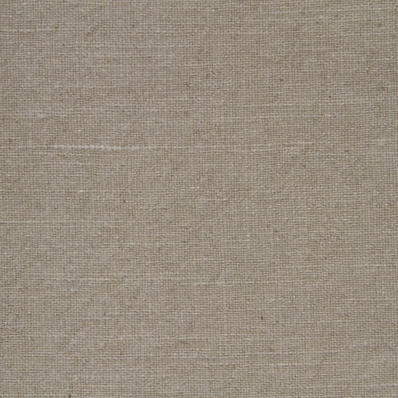 Sample Aro Flax Robert Allen Fabric.