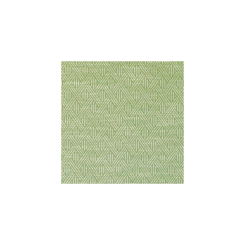 DI61592-303 | Fern - Duralee Fabric