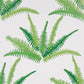 Buy 5012621 Canyon Ferns Jungle Schumacher Wallcovering Wallpaper