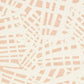 Sample LANN-1 Lanner, Blush Orange Rust Stout Fabric