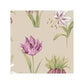 hide