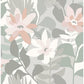 Purchase 4014-26454 Seychelles Koko Grey Floral Wallpaper Grey A-Street Prints Wallpaper