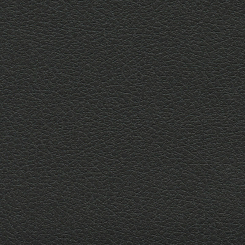 Purchase sample of 393-5749 Brisa Soleil, Black Onyx by Schumacher Fabric