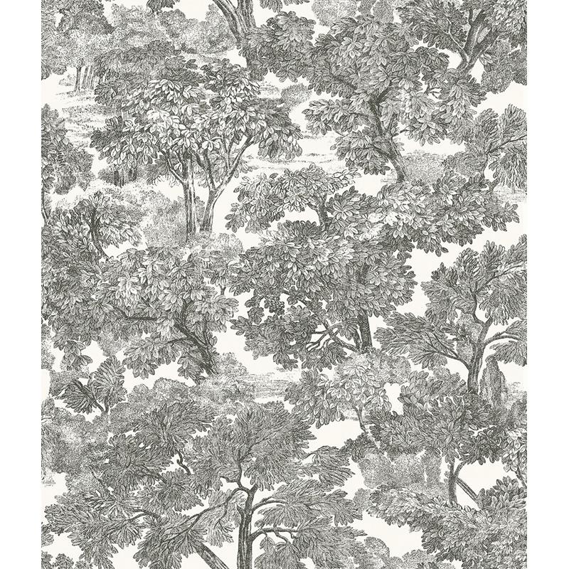 Sample 3115-12542 Farmhouse, Spinney Black Toile by Chesapeake Wallpaper
