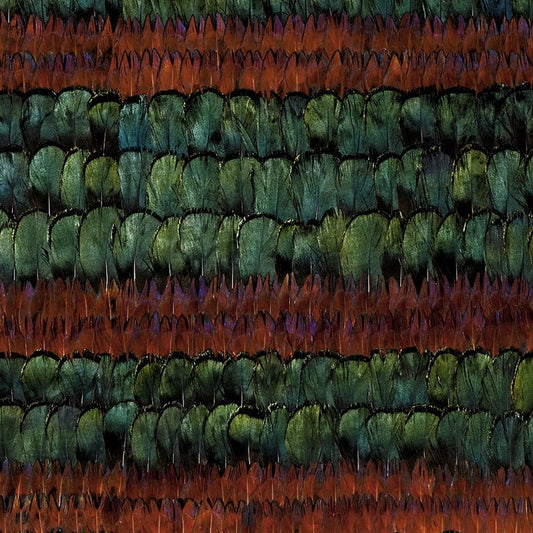 Find 5003890 Grand Isle Peacock & Pheasant Schumacher Wallpaper