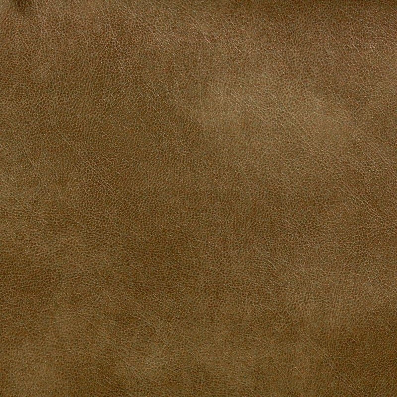 Sample TURC-10 Turco Prairie by Stout