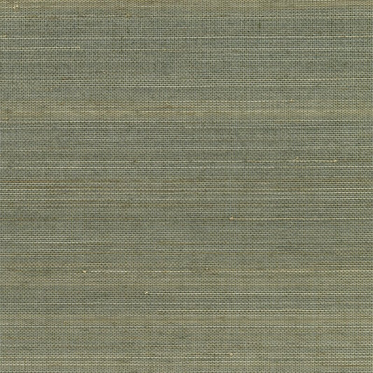Shop 2732-54752 Canton Road Salisbury Grey Grasscloth Kenneth James