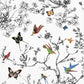 Purchase 2704420 Birds Butterflies Multi On White Schumacher Wallpaper