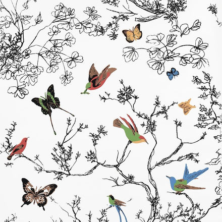 2704420 | Birds Butterflies, Multi On White - Schumacher Wallpaper