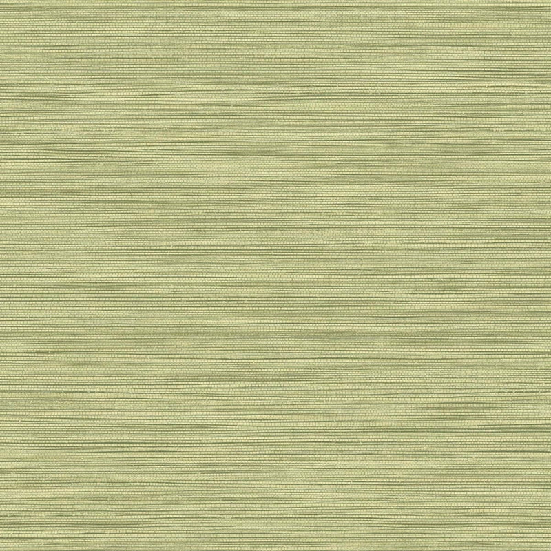 Sample BV30104 Texture Gallery, Grasslands Lime Moss  Seabrook Wallpaper