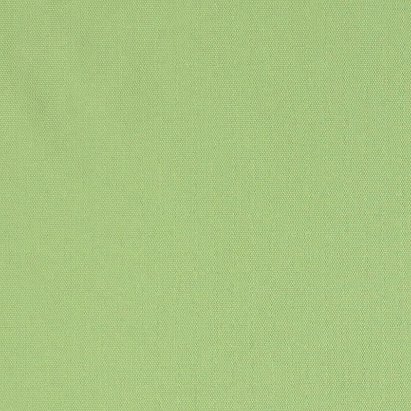 Purchase sample of 69545 Elliott, Lime by Schumacher Fabric