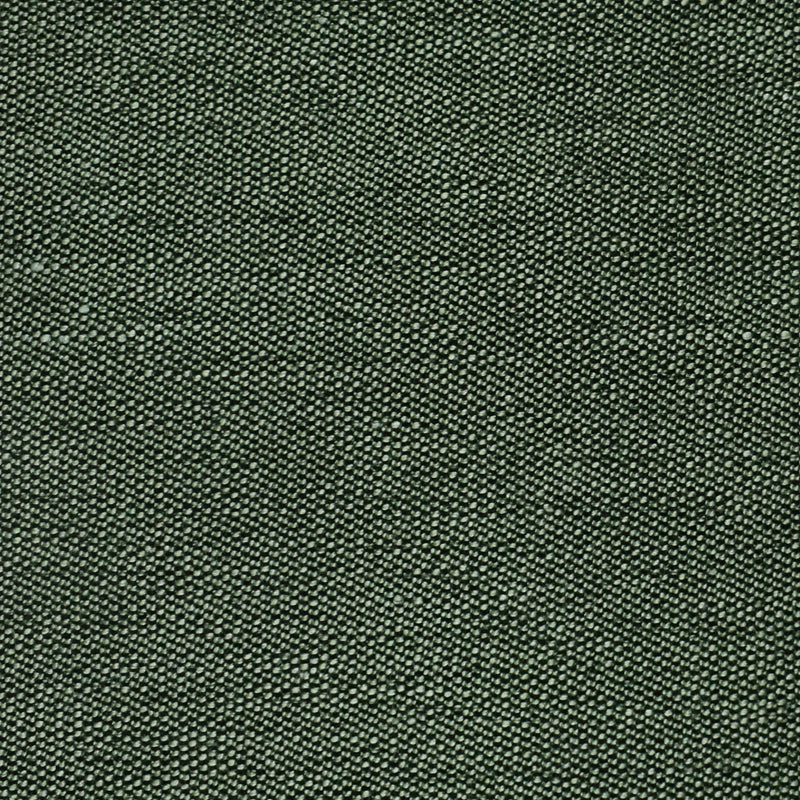 Buy S2481 Forest Green Texture Greenhouse Fabric