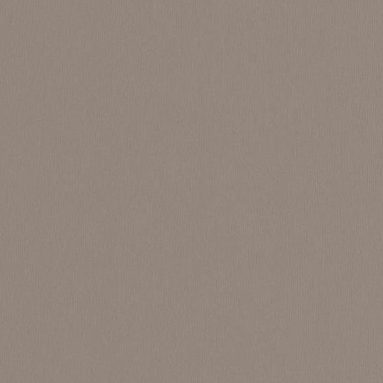 Buy 722703 Endless Joy Brown Soild by Washington Wallpaper